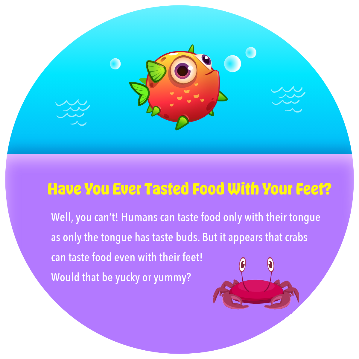 Jelly Cove Math Puzzles